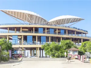 Xingkai Lake Viewing Platform