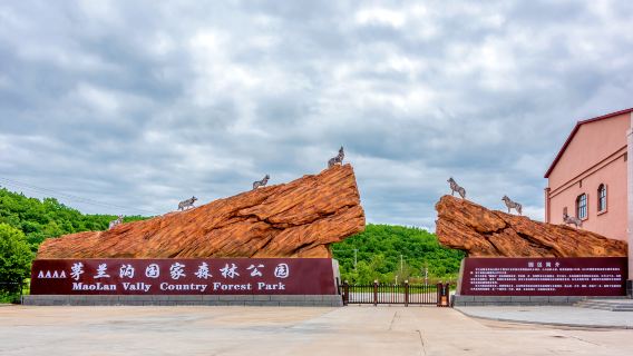 Maolangou National Forest Park - Maolangou Geological Park