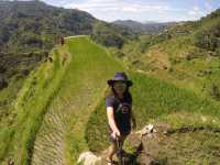 Rice Terraces