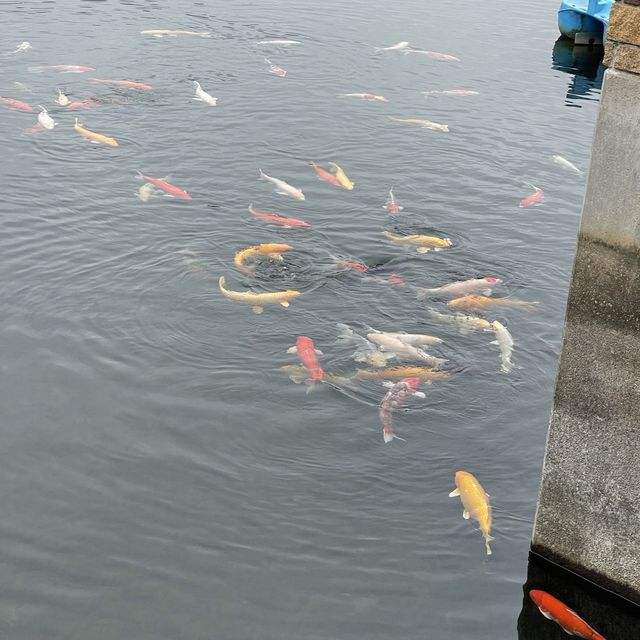 迪欣湖野餐之旅 週末放放鬆休息再走更長路
