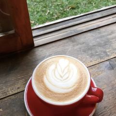 Otto Coffe User Photo