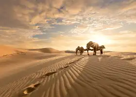 騰格裡沙漠