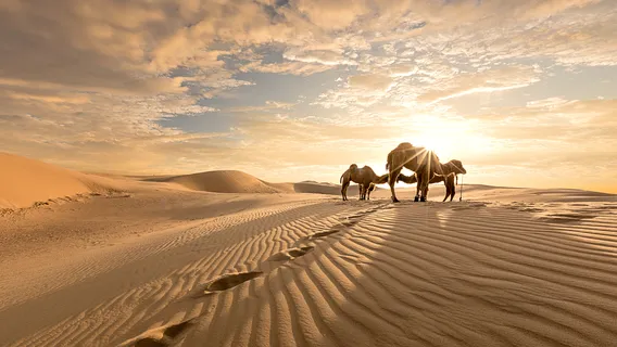 Tengger Desert