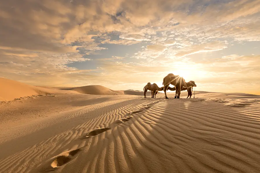 Tenggeli Desert