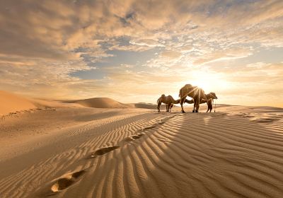 Tenggeli Desert