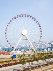 Central Waterfront Promenade