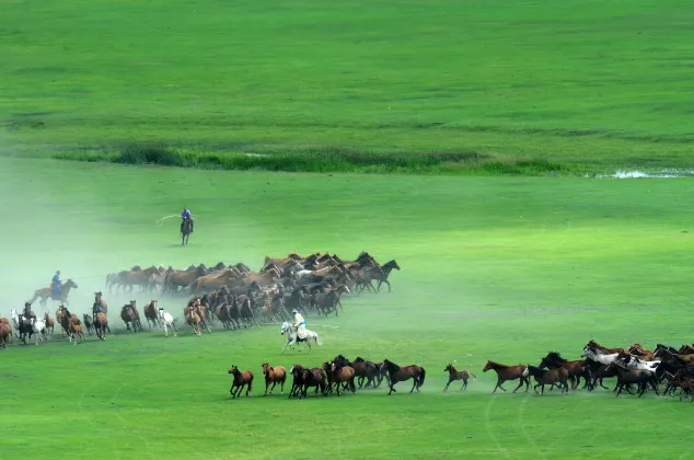 Tonghu Grassland Mongolian Yurt Hotel