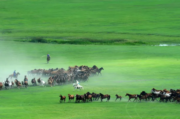 Flights from Bengaluru to Xilinhot