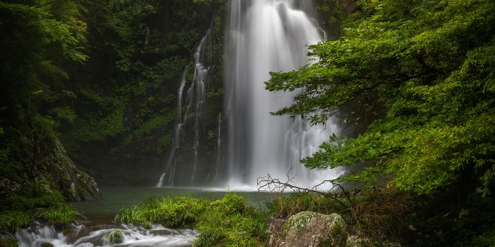 Longtan Scenic Area