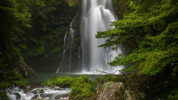 玩水避暑