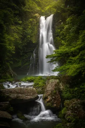 亞洲航空 飛 井岡山