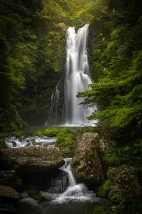 東方航空 飛 井岡山