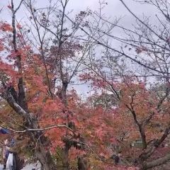 CLUB METRO User Photo