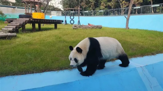 鞍山動物園