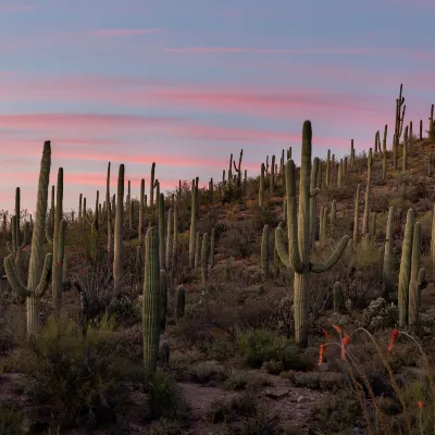 JW Marriott Phoenix Desert Ridge Resort & Spa