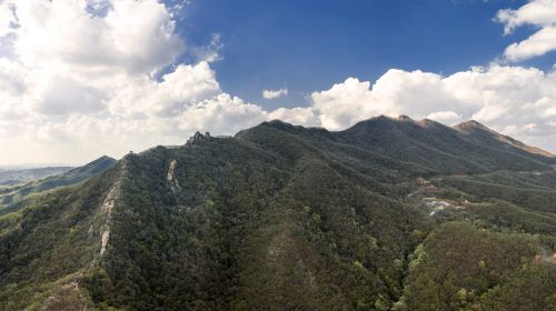 สวนป่าภูเขาจูไค