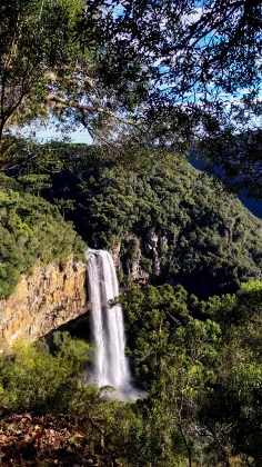 高山のプールのあるホテル