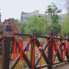 顺兴鲜鱼庄 여행 사진