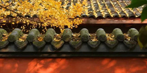 武侯祠+杜甫草堂+東郊記憶一日遊包車純玩成都市區+四環包接送