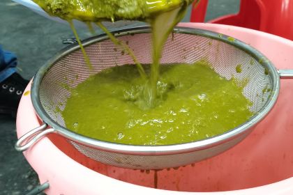 绿水生态全牛馆