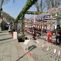 Enjoy free tents 