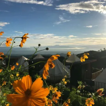 รวมที่พักม่อนแจ่ม ที่แจ่มว้าวไม่ไหว