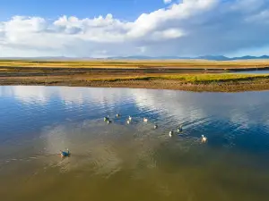 Ngoring Lake