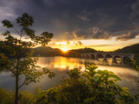 興業街10大最佳酒店排名