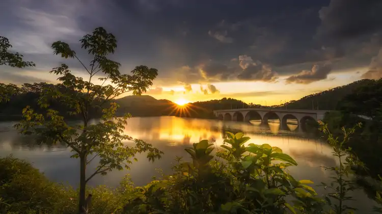 Hotels near Donglong Forest Park