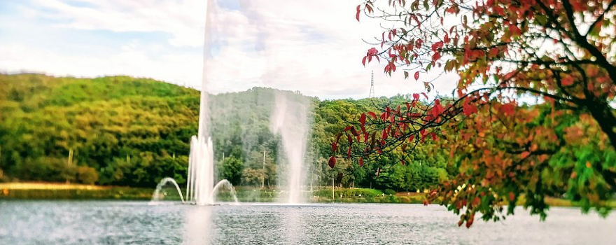 Yuldong Park