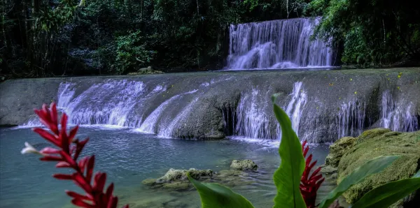 Hotel dekat Tropical Bliss