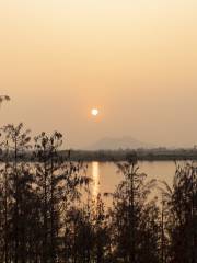 黃楊河濕地公園