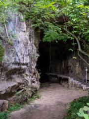 Bailian Cave Site