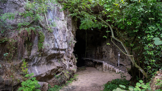 Bailian Cave Site
