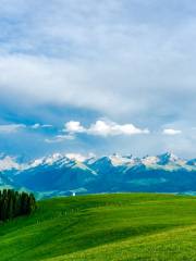 Qiaxi Grassland Tourist Scenic Spot