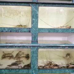 新河饭店(新河路店) User Photo