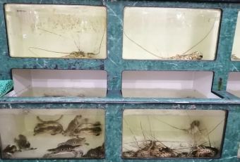 新河饭店(新河路店) User Photo