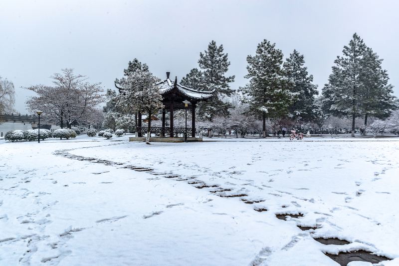 香雪園