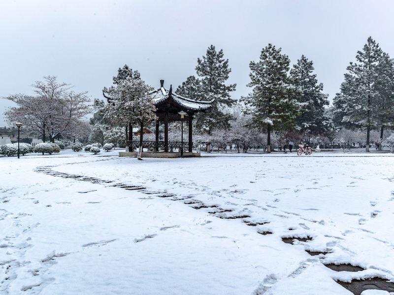 香雪園