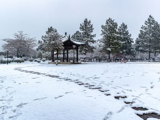 香雪園