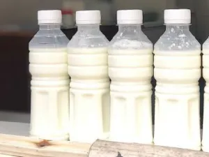 Jinbang Huanji milk
