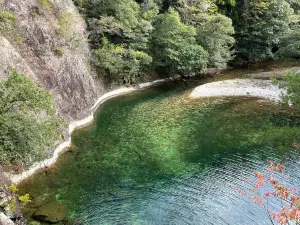 Aichi Prefectural Forest and Campground