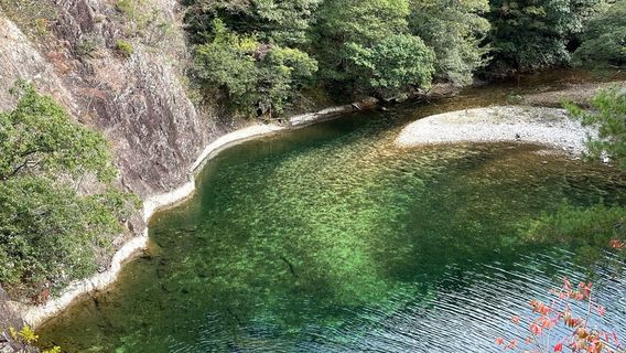 Aichi Prefectural Forest and Campground