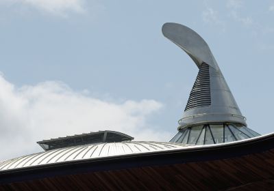 National Assembly for Wales