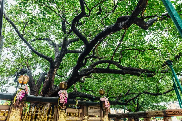 โรงแรมใกล้विष्णु अस्थान