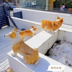 秋田犬咖啡屋·精酿啤酒馆 User Photo