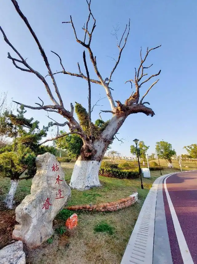 Hotels near Jiulonghu Wetland Park