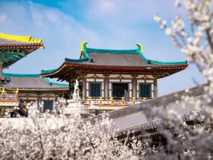 중국 당성