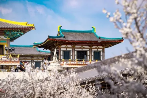 The City of Tang Dynasty