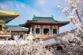 The City of Tang Dynasty